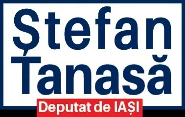 Ștefan Tanasă – Deputat de Iași